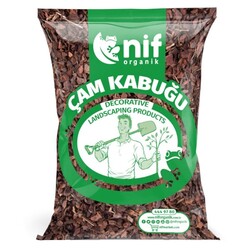 ÇAM KABUĞU - 