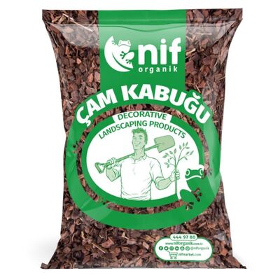 ÇAM KABUĞU - 