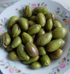 ÇEKİŞTE ZEYTİN FİDANI - 3