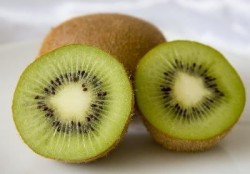HAYWARD (DİŞİ) KİVİ FİDANI - 2