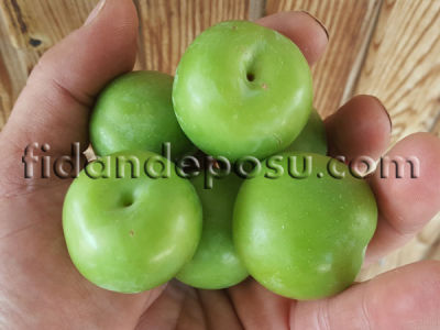 KARA PAPAZ ERİK FİDANI - 