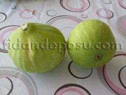 NAZİLLİ (SARI ZEYBEK) İNCİR FİDANI - 