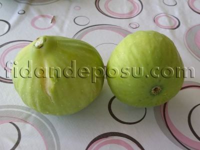 NAZİLLİ (SARI ZEYBEK) İNCİR FİDANI - 