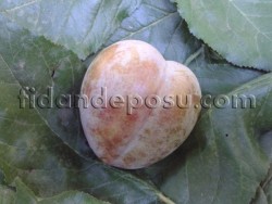 RED HEART ERİK FİDANI - 2