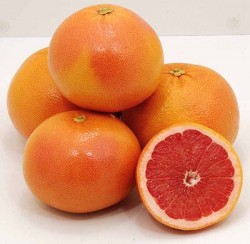 RİO RED GREYFURT FİDANI - 2