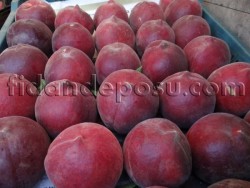 RUBY RİCH ŞEFTALİ FİDANI - 2