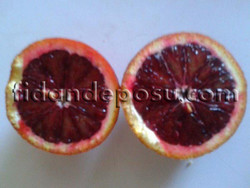 SMİTH RED BLOOD ORANGE PORTAKAL FİDANI - Thumbnail