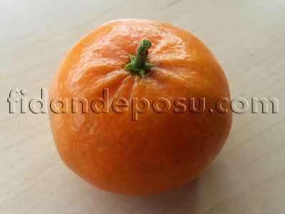 W. MURCOTT MANDALİNA FİDANI - 