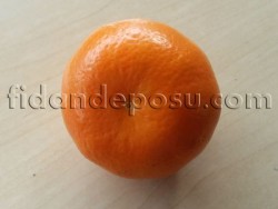 W. MURCOTT MANDALİNA FİDANI - 3
