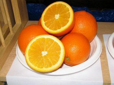 WASHİNGTON SPRİNG NAVEL PORTAKAL FİDANI - 