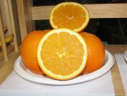 WASHİNGTON NAVEL PORTAKAL FİDANI - 2