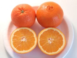 WASHİNGTON NAVEL PORTAKAL FİDANI - 3